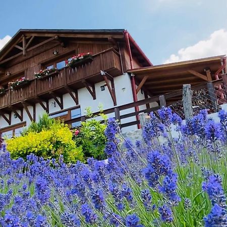 Готель Gold Horse Vendeghaz Сільвашварад Екстер'єр фото
